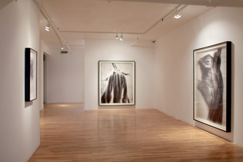 view of the show 1